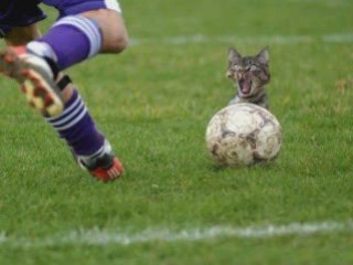 Futworld 11 de febrero de 2009