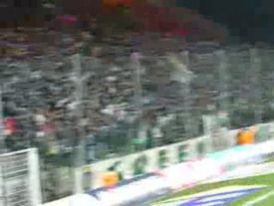 magic fans et green angels