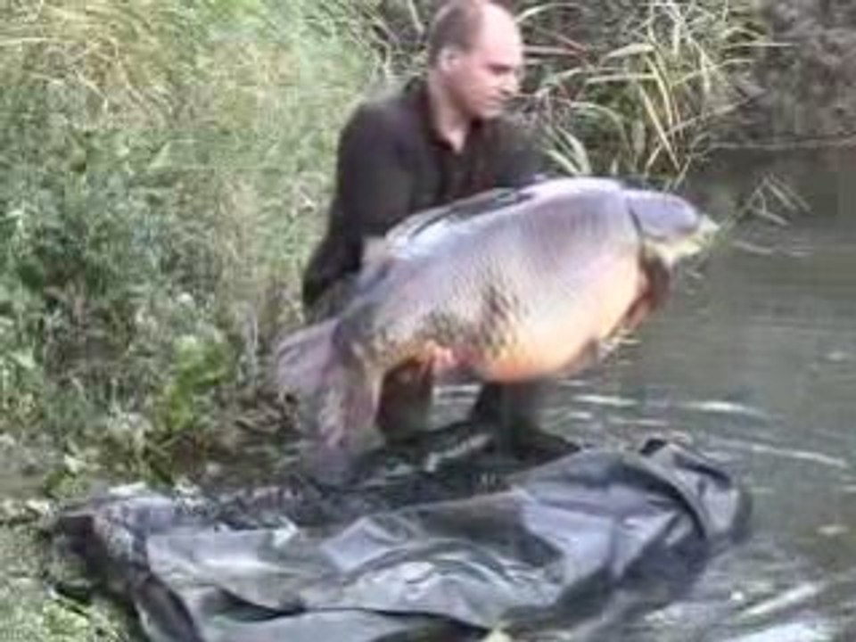 Record_common_clip