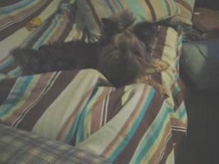 Chloé et le monstre du canapé