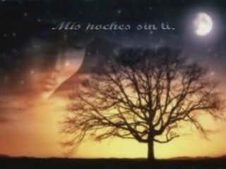 Mis noches sin ti