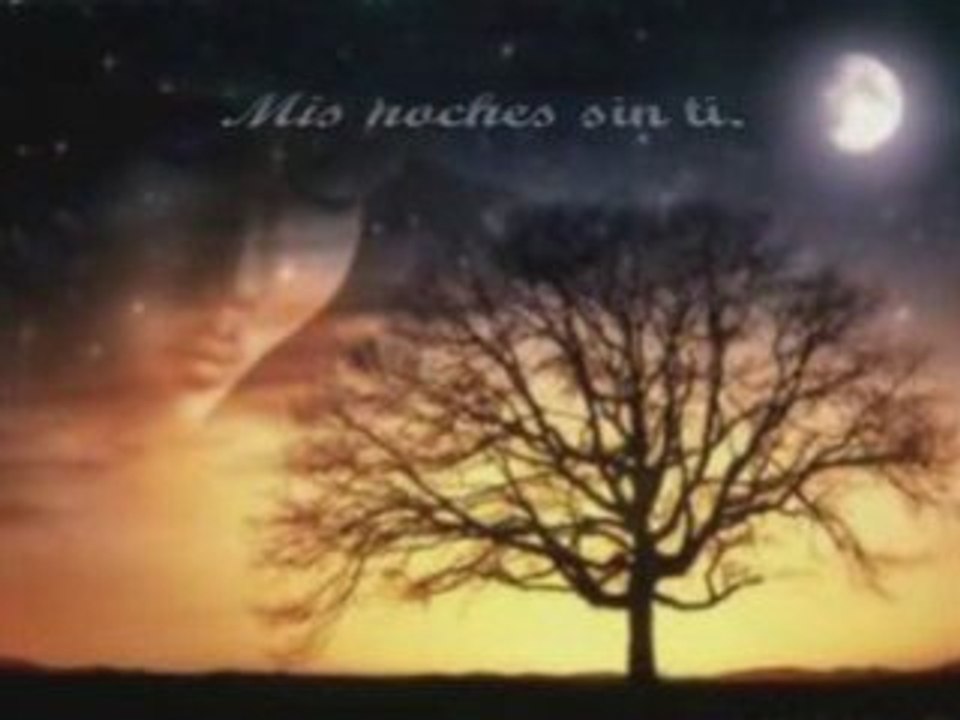 Mis noches sin ti