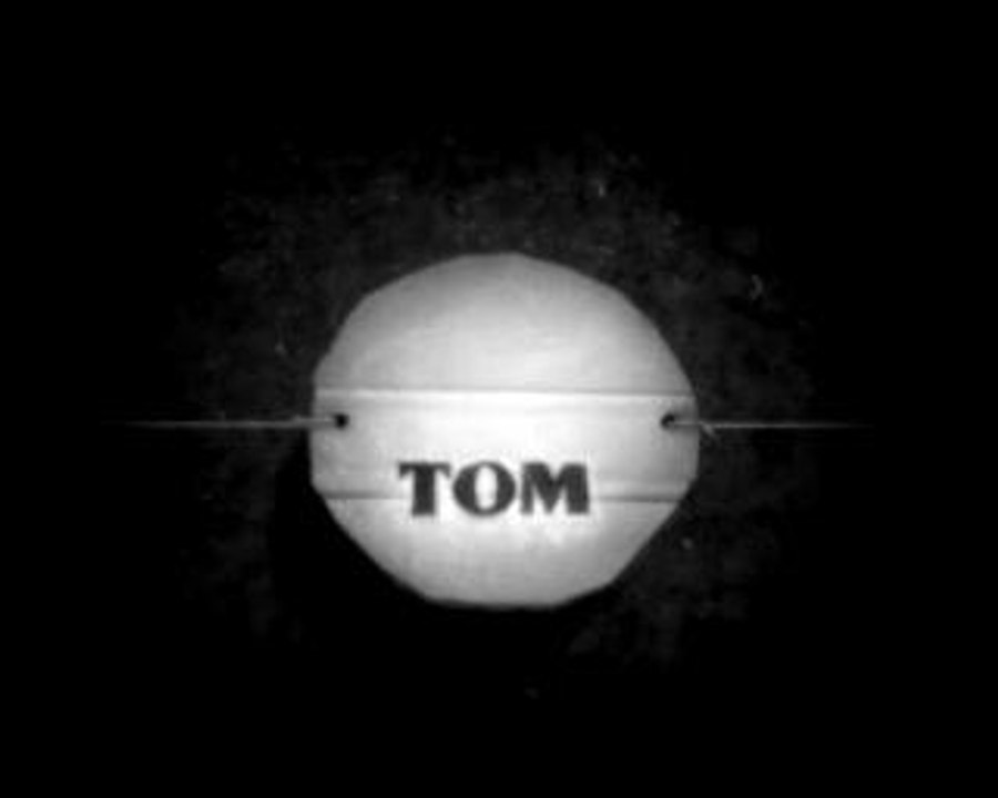 Tom et Tim (Animation)