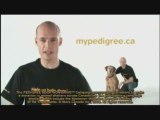 Pedigree Adoption Drive™