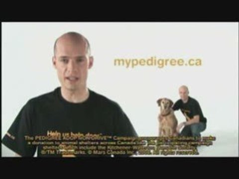 Pedigree Adoption Drive™