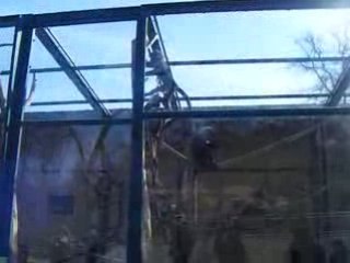 Lyon  parc de la tete d'or 6