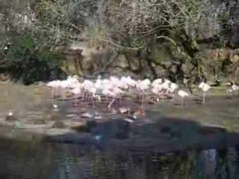 Lyon parc de la tete d'or 2