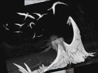 Живота няма милост