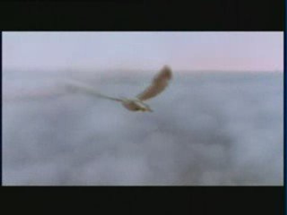 Istanbul Tanitim Filmi www.lehfan.com