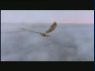 Istanbul Tanitim Filmi www.lehfan.com