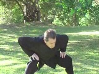 QI GONG "Les 8 brocarts de soie 01"