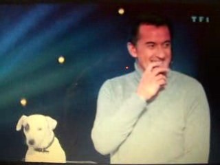 zapping Le u c 1 voyelle c pas 1 consonne ?