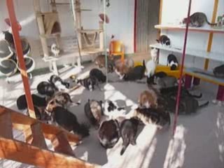 Visite sanitaire à Beauregard le 19-02-2009