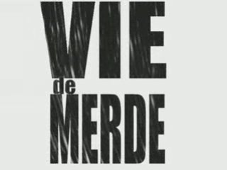 VDM : VAILLANT PIGEON DE COMBAT