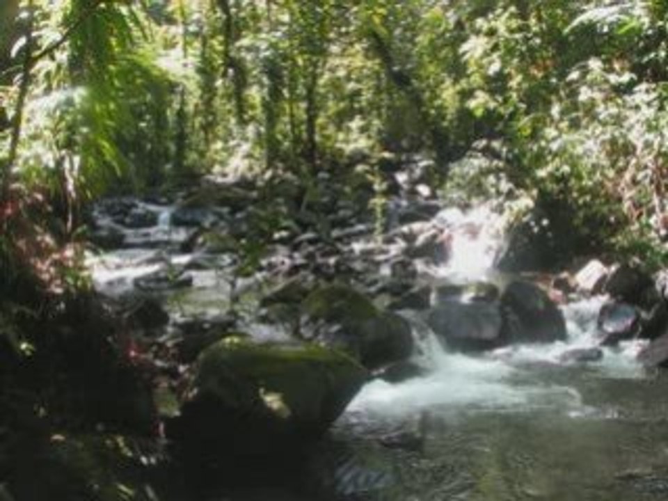 Guadeloupe 2eme part