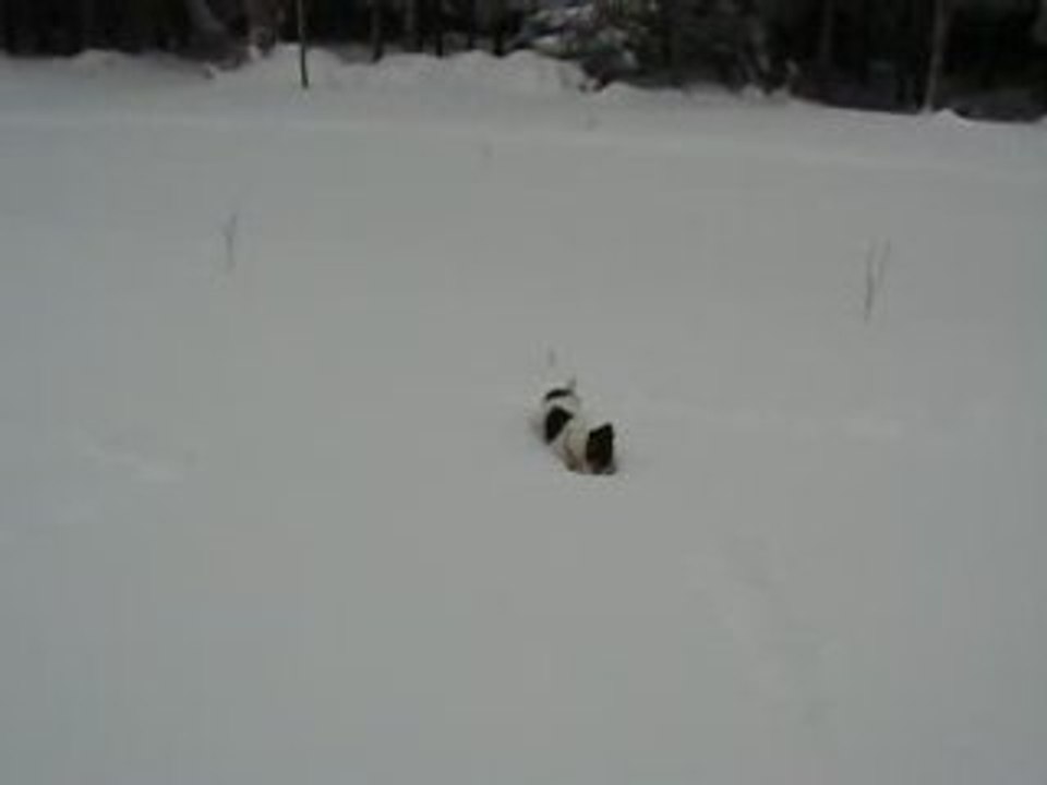 Doliprane dans la neige