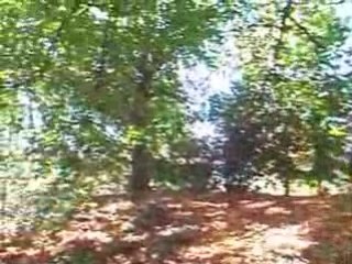 Looking For... Gustafer Yellowgold (Part II of II)