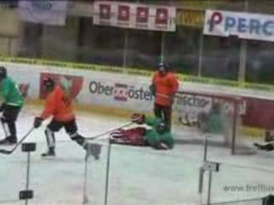Eishockey 2009