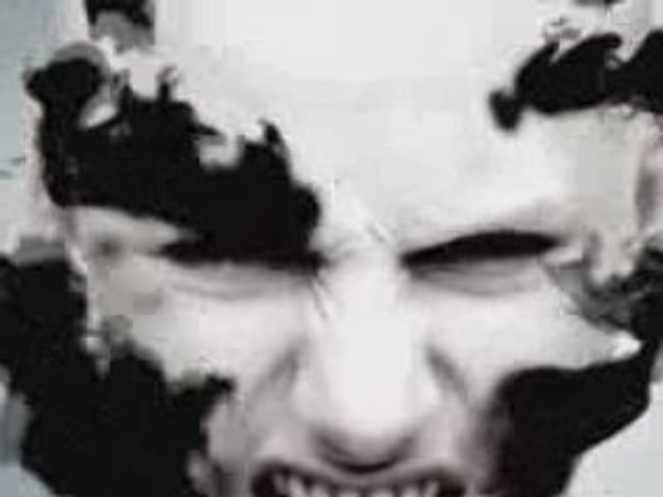 The GazettE - Leech (PV)