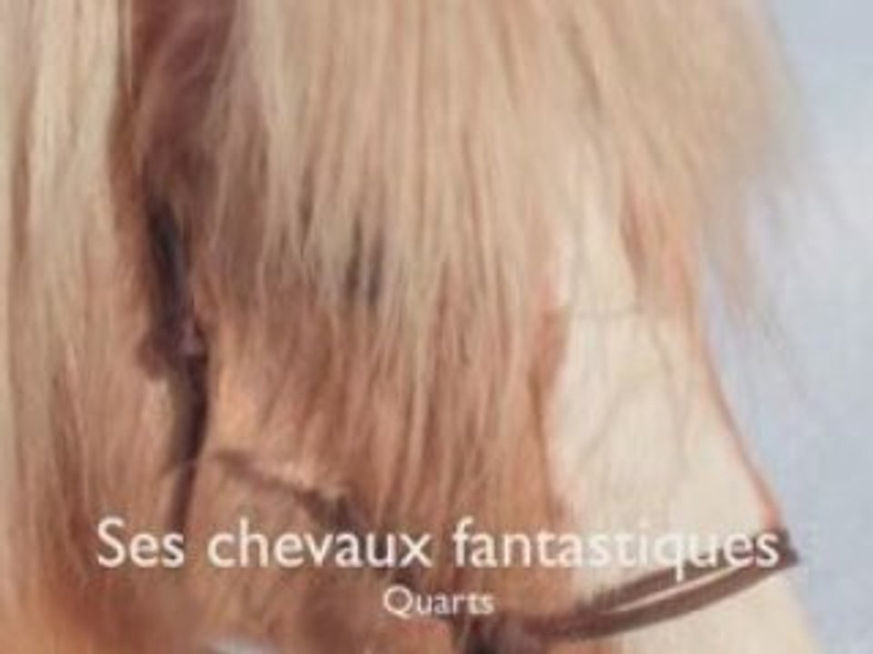 Poney cheval nature des rapeaux