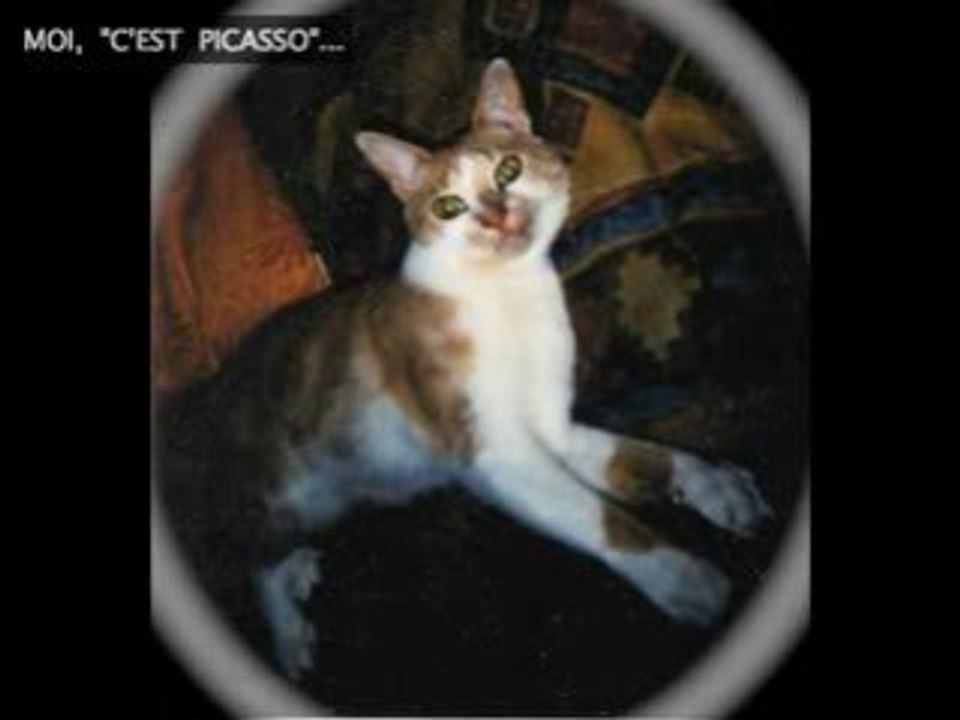 PICASSO, The "Cat Clown"