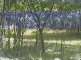 sürek köyünde 1992 yılında çekilmiş video