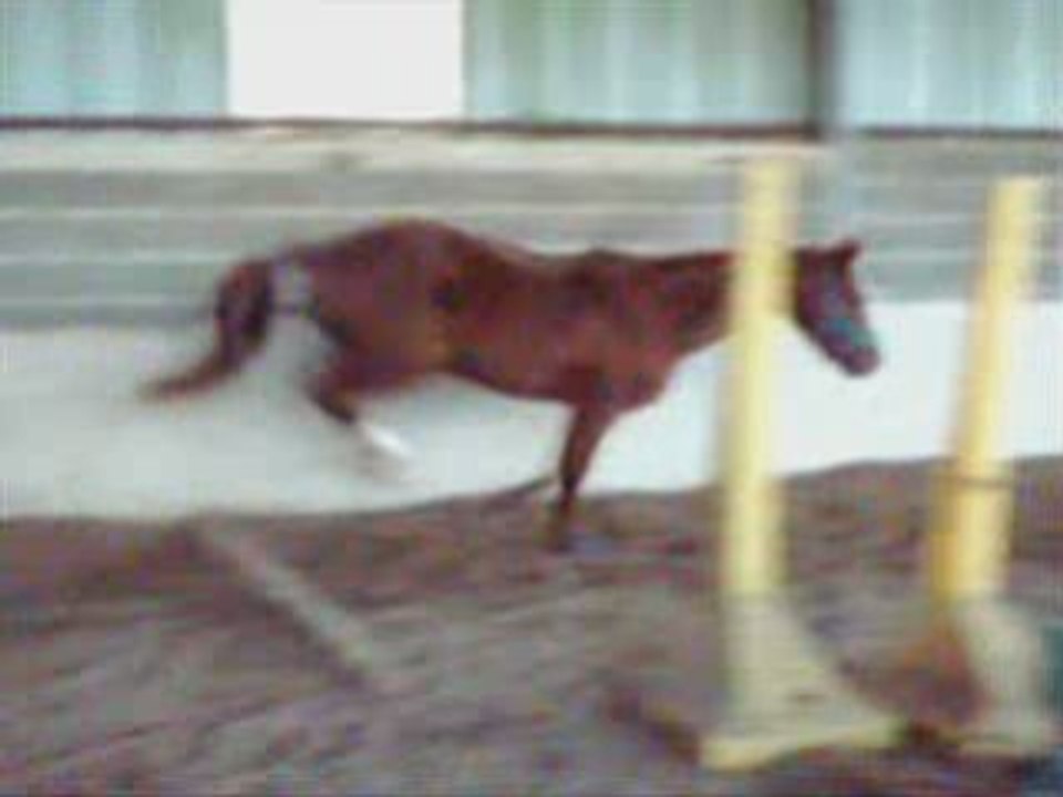 Quero montage de cet hivers