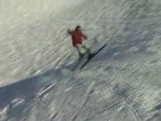 Les Zozos font des sauts 2