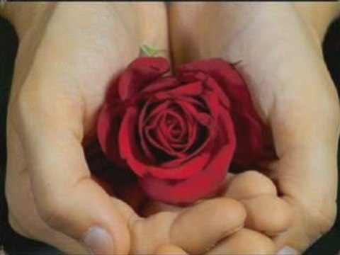 Dzwonię by powiedzieć Ci że Cię kocham