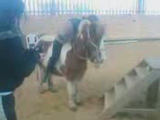 Lolita et Ollywoud Descente des marches =P