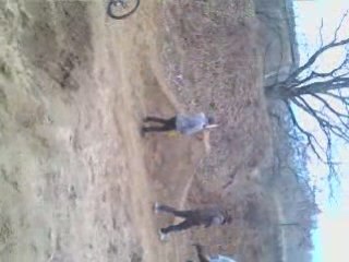 Lucas Teddy Kentin tasse qoi