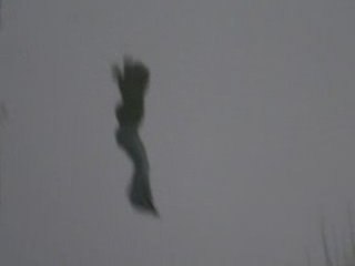 Close your eyes - Gatebled