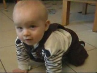 Vincent a quatre pattes