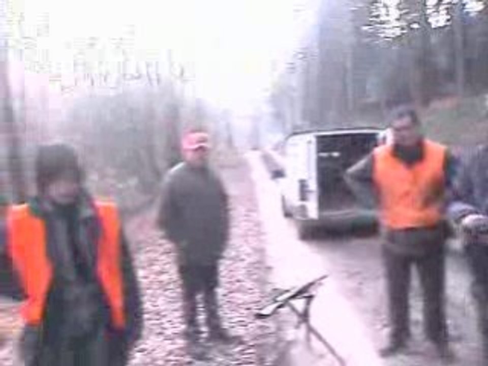 SANGLIER PERSEIGNE