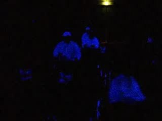 Ermelo Stallion Show 2009 attelage nuit