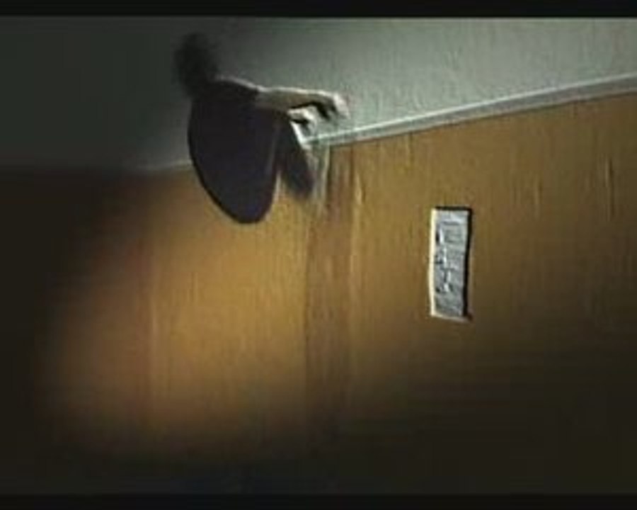 Acrobacias Luis Buñuel 2