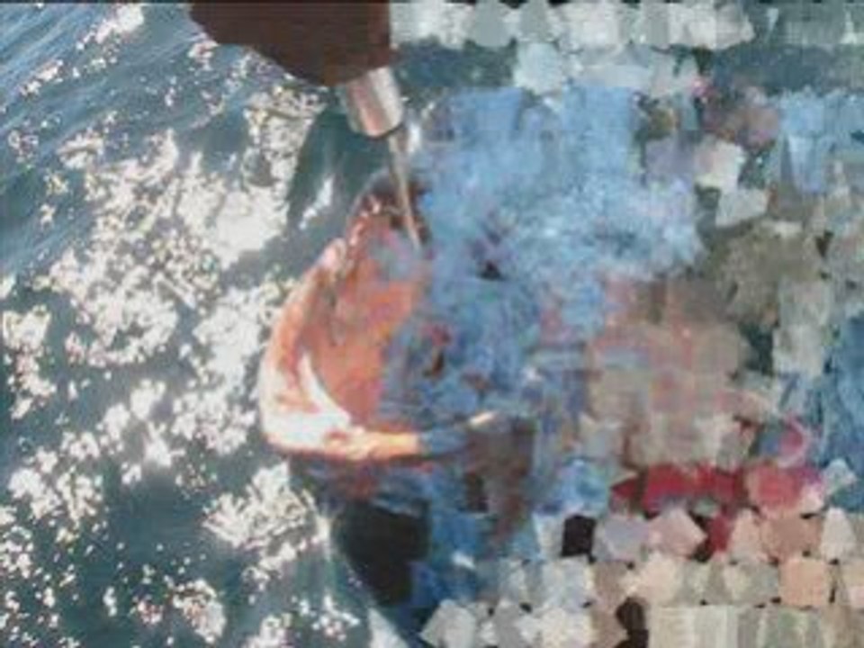 Video exo top
