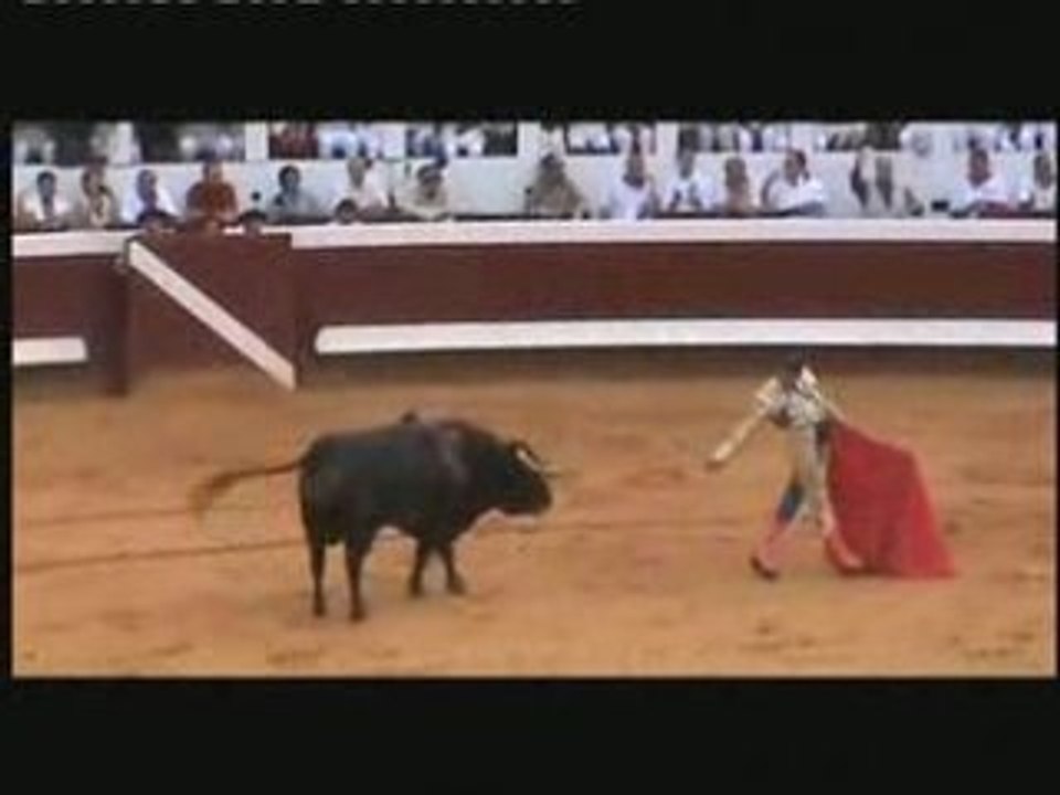 Dax feria 2008 : Enrique Ponce