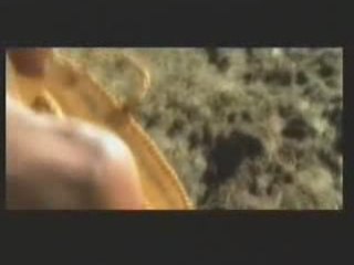 لمن كان له قلب