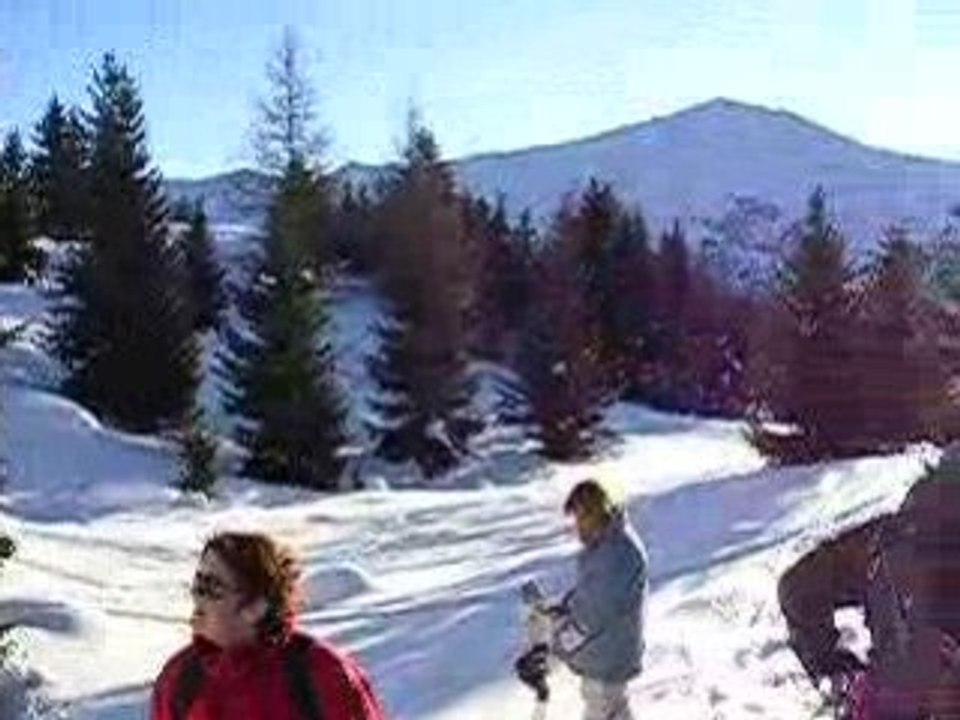 Cuculuge mereloup