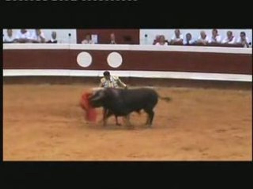 Dax feria 2008 : Enrique Ponce