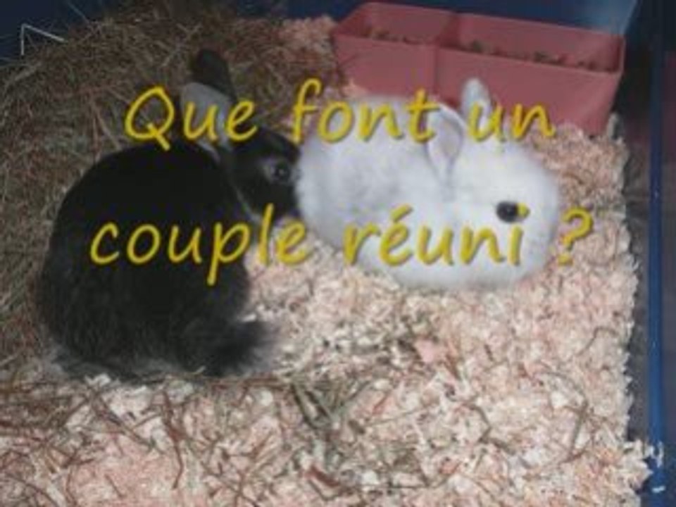 La famille s'agrandit