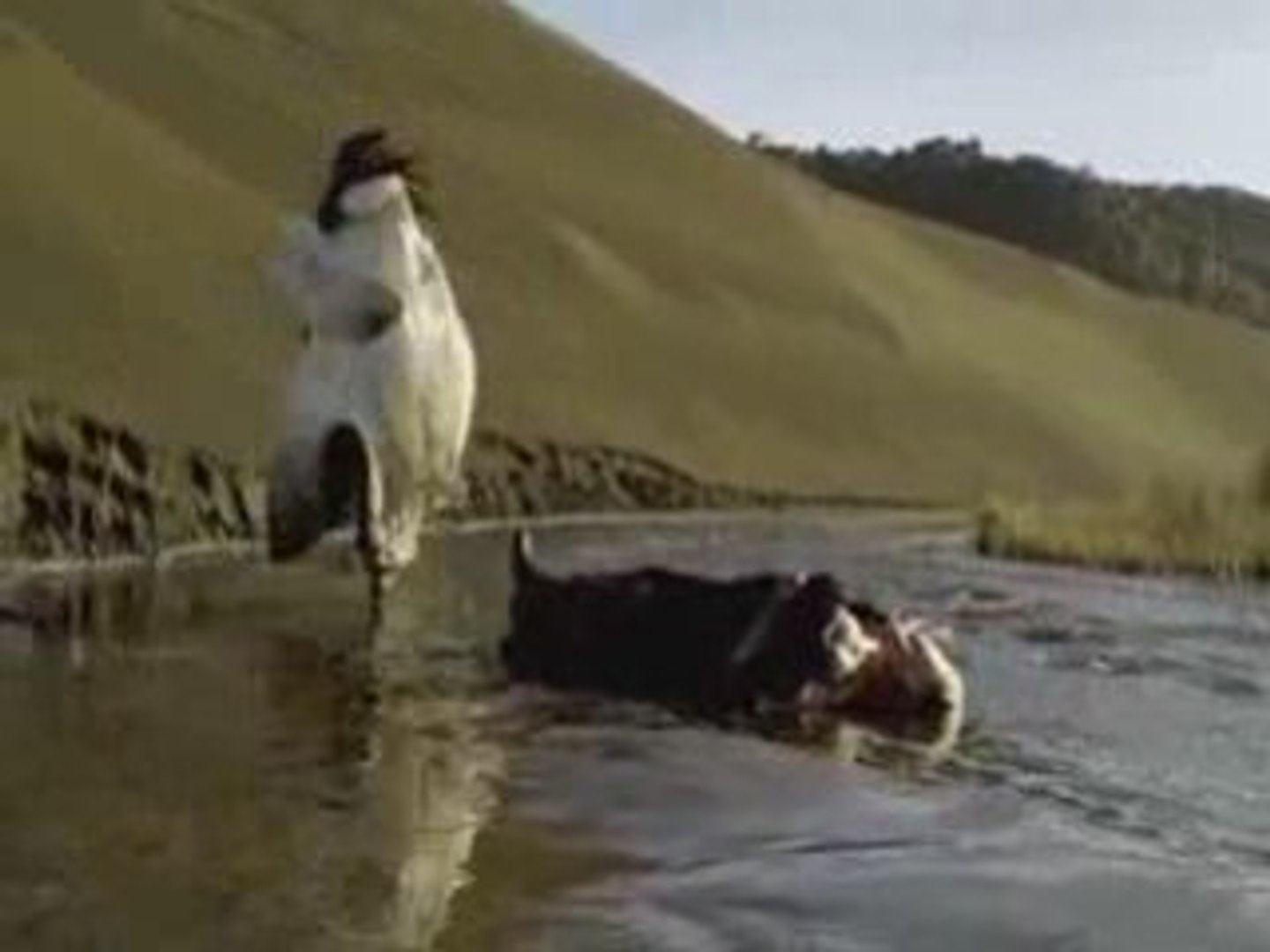 Legend of the Seeker/My Chemical Romance (2)