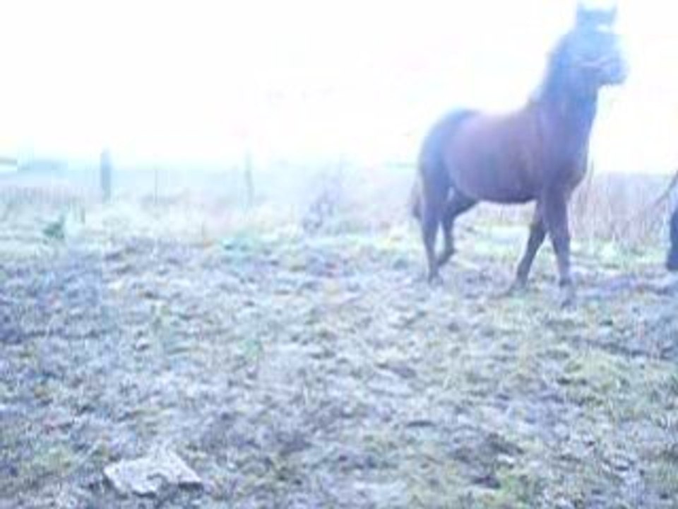 Photo 009