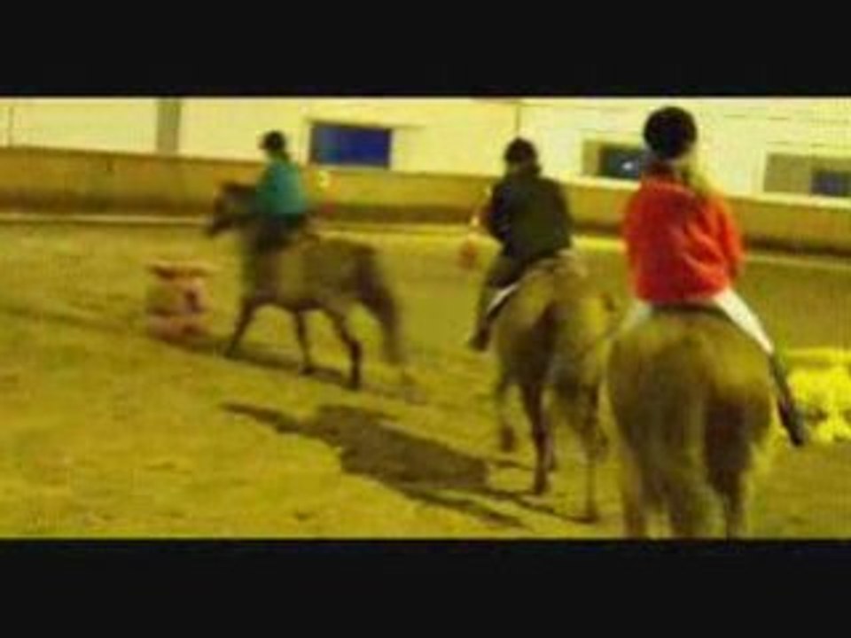 Galop avec Poly