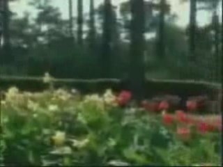 تامر حسنى كل سنه و انت طيب  happy valentine's day 2009