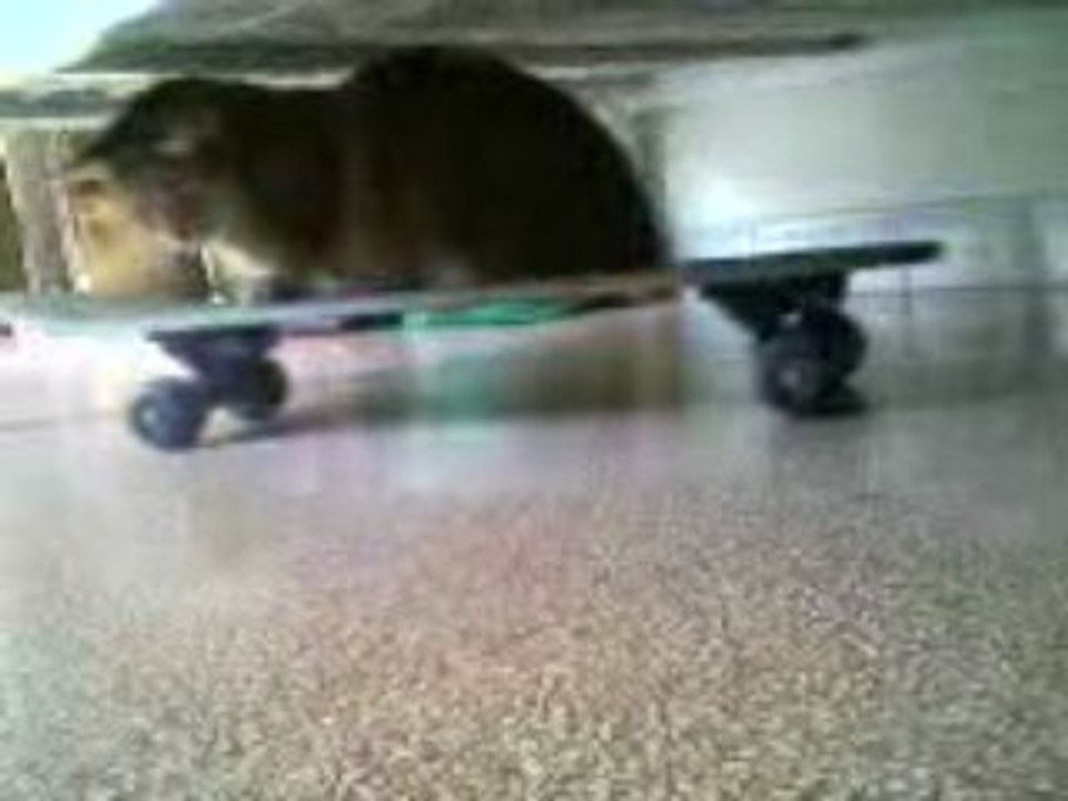florine la Skateuse