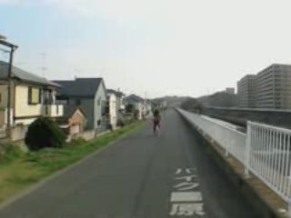 Promenade au bord du canal au Japon