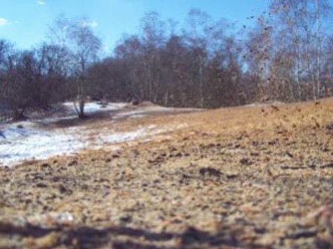 Baja 5B test 2 amortisseurs INNOVATIVE-RC