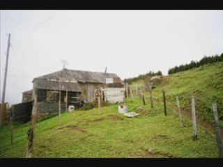 Volkan Konak -Maçkaya